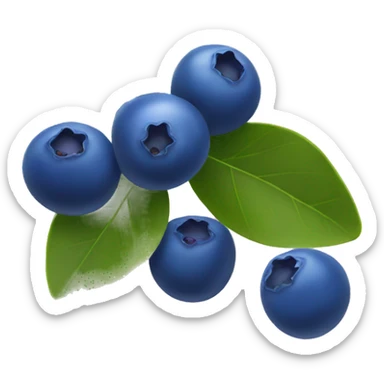 Blueberry  sticker