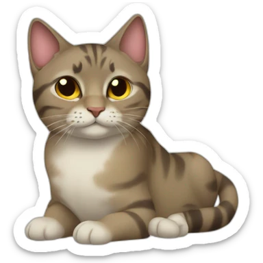 cat eith maidi sticker