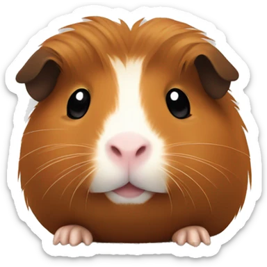 Brown guinea pig  sticker
