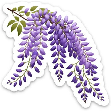 Japanese style wisteria (fuji) flower in elegant ukiyo-e inspired design, cascading purple blooms hanging like in traditional Japanese gardens, with gentle curved lines sticker