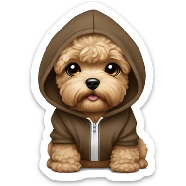 brown maltipoo wearing hoodie  sticker