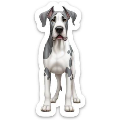 Gray and white harlequin Great Dane standing sticker