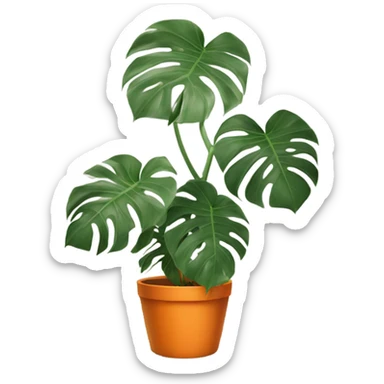 aesthetic monstera in an orange pot against an orange wall sticker