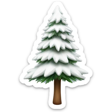  actual white fir christmas tree isolated.  sticker