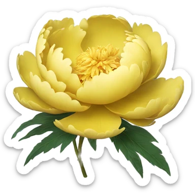 Yellow peony sticker