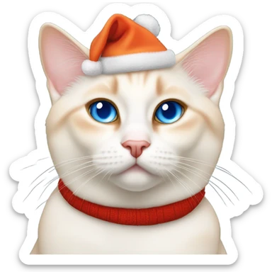 chubby flame point Siamese, white fur with orange accents and blue eyes wearing a red christmas hat  sticker