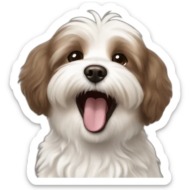 brown coloured dog bichon havanese laughing sticker