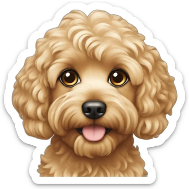 Blonde cavapoo sticker