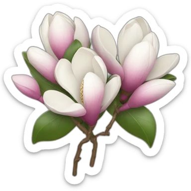 Magnolia bouquet sticker