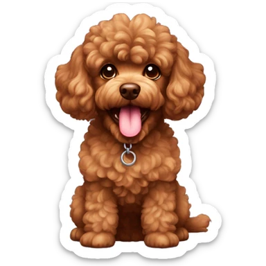 Curly brown toy poodle  tongue  sticker