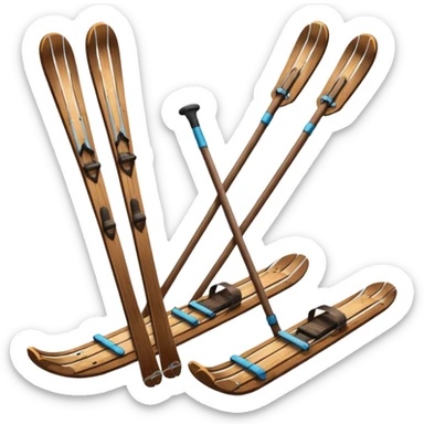 skis et raquettes sticker