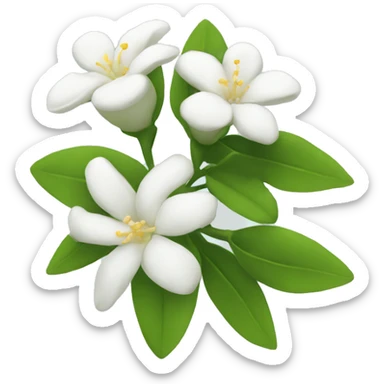 Jasmine flowers  sticker