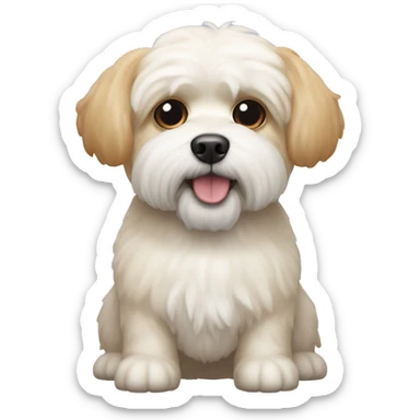 Shitzu Bichon friz dog mix that is cream colored with slightly orange ears.  sticker