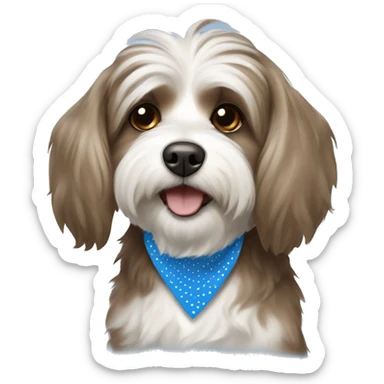 Havanese Brown and white dog wearing a blue polka dots bandana sticker
