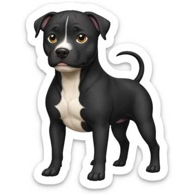 A black pitbull lab mix with a white chest ￼ sticker
