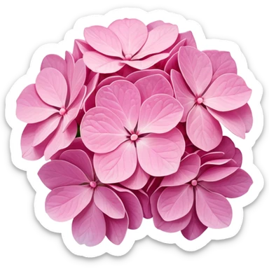 ultra realistic pink hydrangea sticker