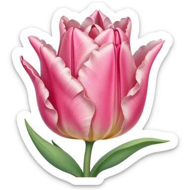 OMBRE BLUSH PINK TULIP sticker