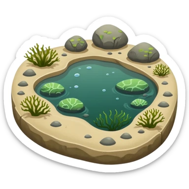 Tide pool sticker