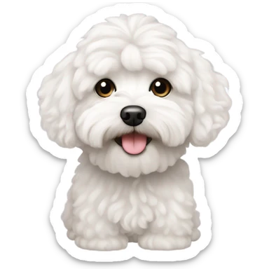 White curly maltipoo sticker