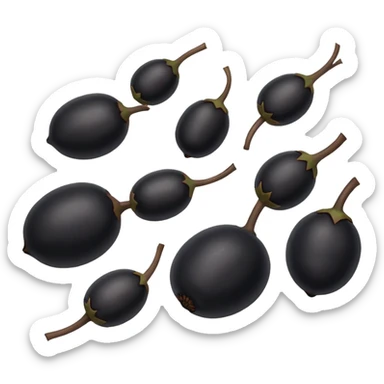 6 black lentils, simple and clear sticker