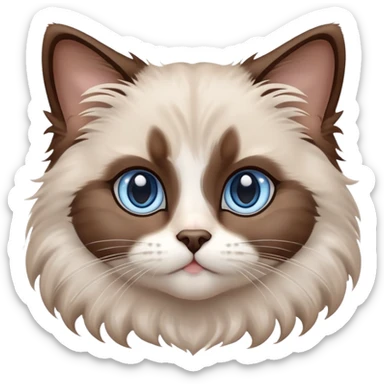 cinematic-fluffy-brown-ragdoll-cat-portrait-emoji,-head-tilted-cutely-with-big,-sparkling-blue-eyes,-soft-brown-and white-colored-fur-with-darker-points-on-the-ears,-face,-and-paws,-simplified-yet-irresistibly-adorable-features, sticker