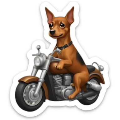 caramel-color-pinscher-dog-driving-a-motorcycle sticker