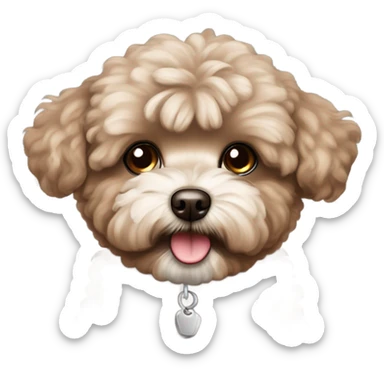 Cocoa colored maltipoo sticker