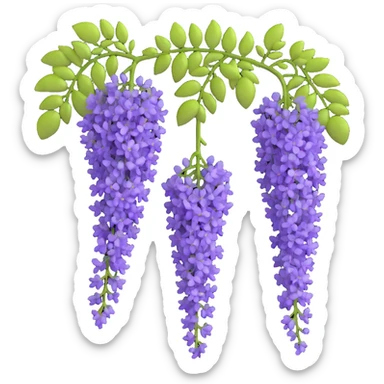 Realistic hanging wisteria racemes with detailed grape-like clusters of lavender flowers cascading downward, accompanied by light green compound leaves sticker