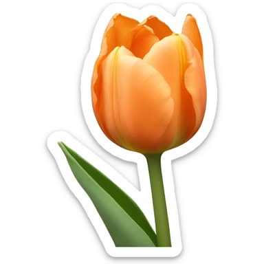 Pale orange tulip sticker