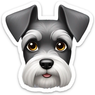 perro schnauzer plata cuerpo con mujer morena pelo negro sticker