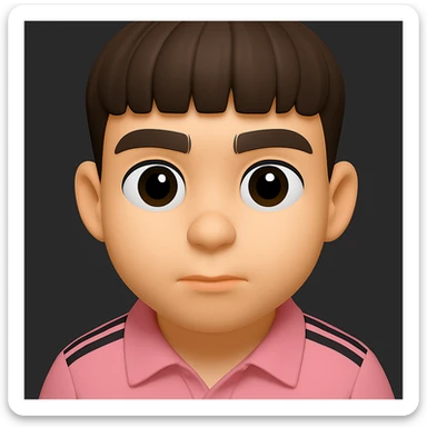 Create a 3D emoji style image based on the provided photo. The style should be cartoonish with large eyes and smooth lines, capturing the essence of a 3D emoji but with a playful, animated feel. sticker