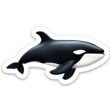 Killer whale  sticker