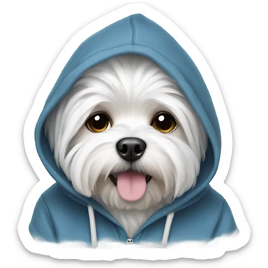 Maltese with a hoodie sticker