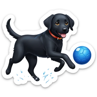 Black lab running after blue ball  sticker