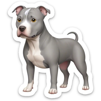 Gray pitbull sticker