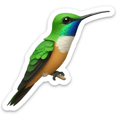 colibri sticker