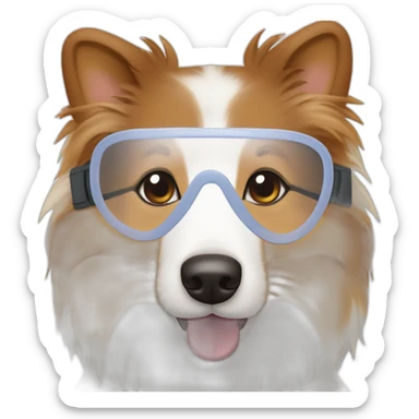 Tricolore Shetland sheepdog wearing chirurgical mask on mouth sticker