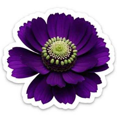 black knight scabiosa sticker