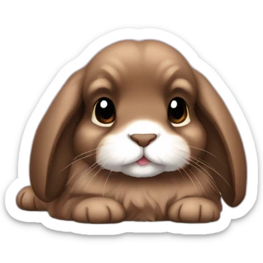 Mischievous Brown holland lop sticker