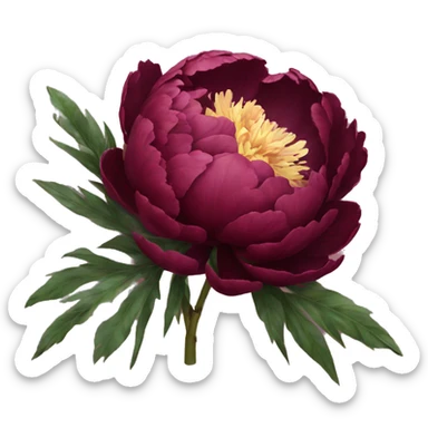Burgundy peonie  sticker