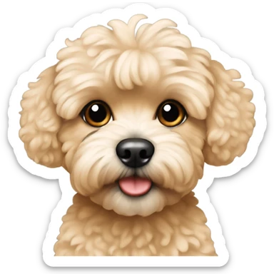 Black and tan maltipoo sticker