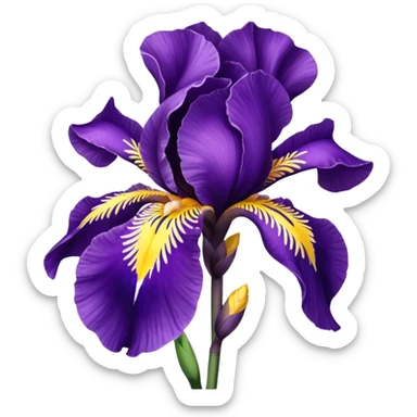 Fleur iris violette sticker
