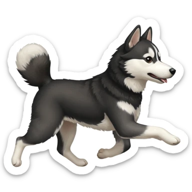 a black and white husky dog running towards the left facing left side profile sticker