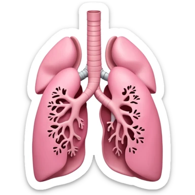 A 3D cartoon anatomical illustration of human lungs with trachea and bronchi, soft lighting, Memoji-style. sticker