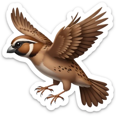 Sparrow flying sticker