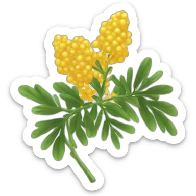 mimosa sticker