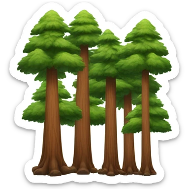 Many Redwood fir trees forest sticker