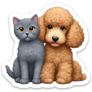 Apricot-poodle-together-with-British-blue-cat-lie-hugging sticker