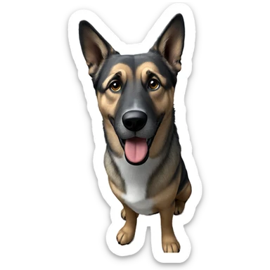 dog sitting on chair indoors sticker