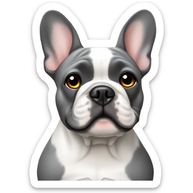 Grey French bulldog with white spot  sticker